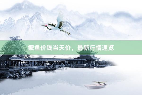 鳜鱼价钱当天价，最新行情速览